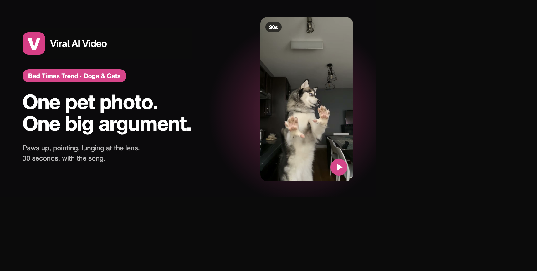 Viral TikTok Trends Your Dog or Cat Can Do With AI (From One Photo)